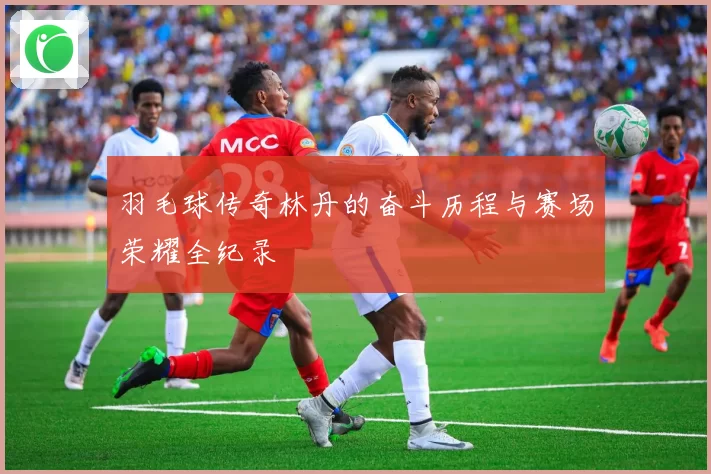 羽毛球传奇林丹的奋斗历程与赛场荣耀全纪录