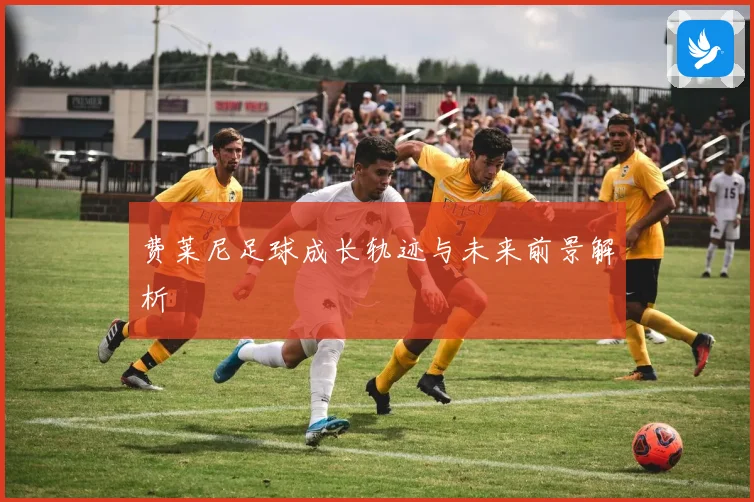 费莱尼足球成长轨迹与未来前景解析