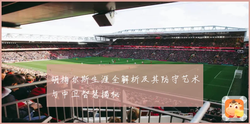 胡梅尔斯生涯全解析及其防守艺术与中卫智慧揭秘
