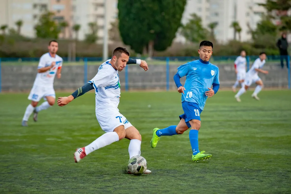 田径明星杨家玉的成长历程与赛场辉煌成就全纪录