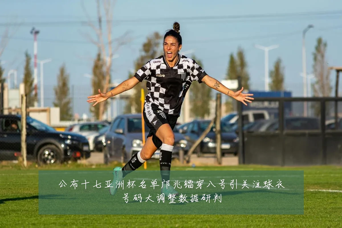 公布十七亚洲杯名单邝兆镭穿八号引关注球衣号码大调整数据研判